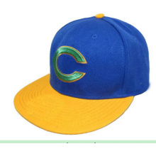 Snapback Hat Custome Gorra de béisbol Sport Hat